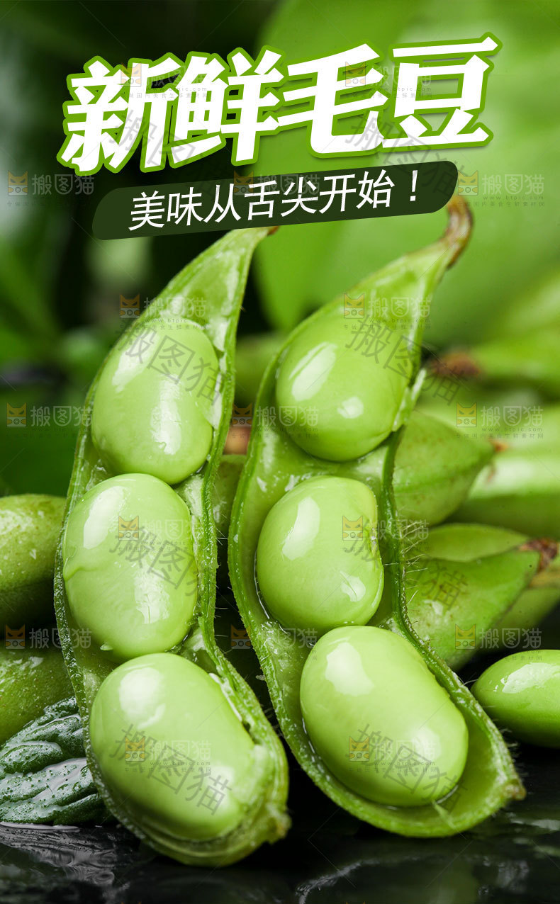 新鲜毛豆详情页