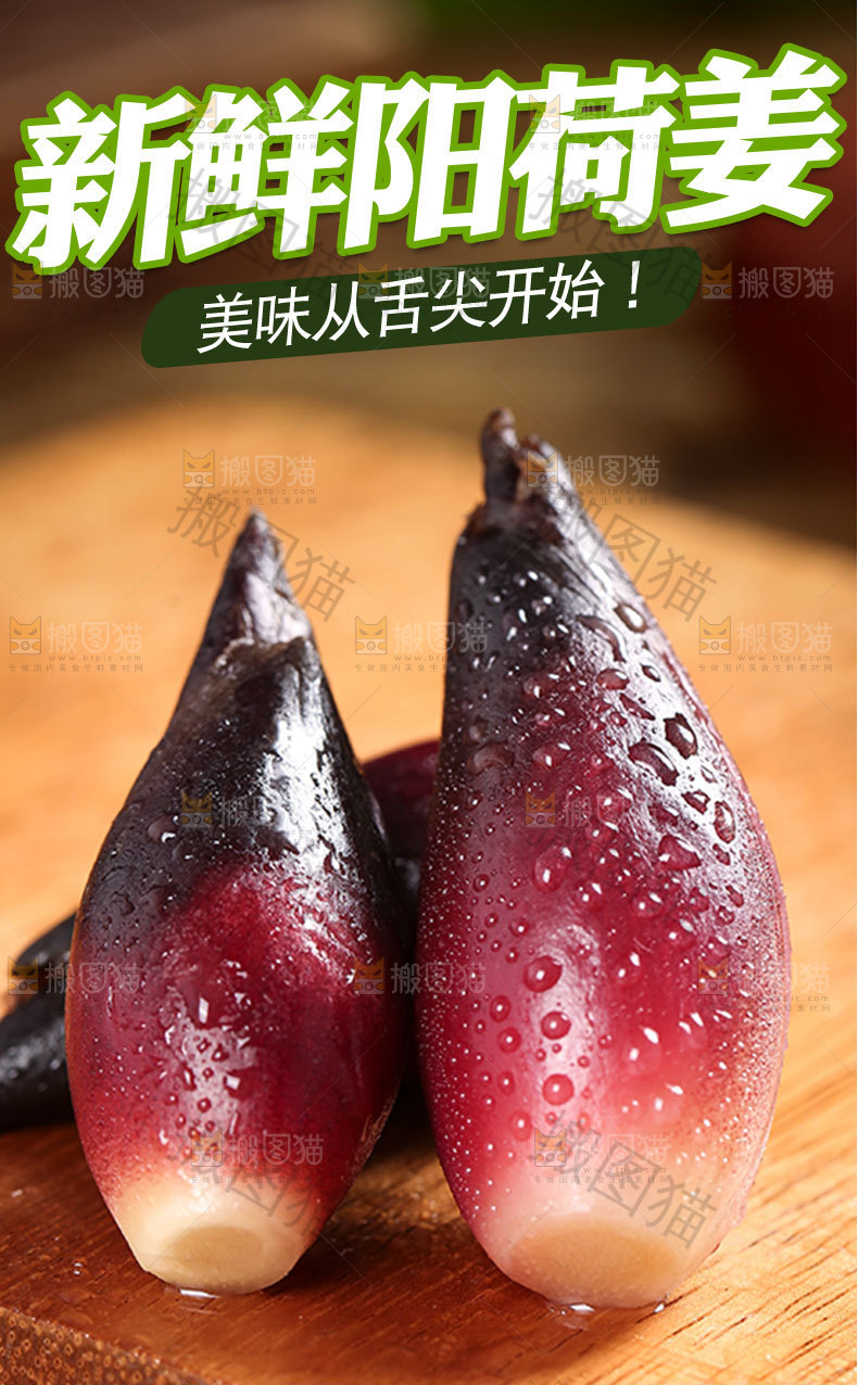 新鲜阳荷姜详情页