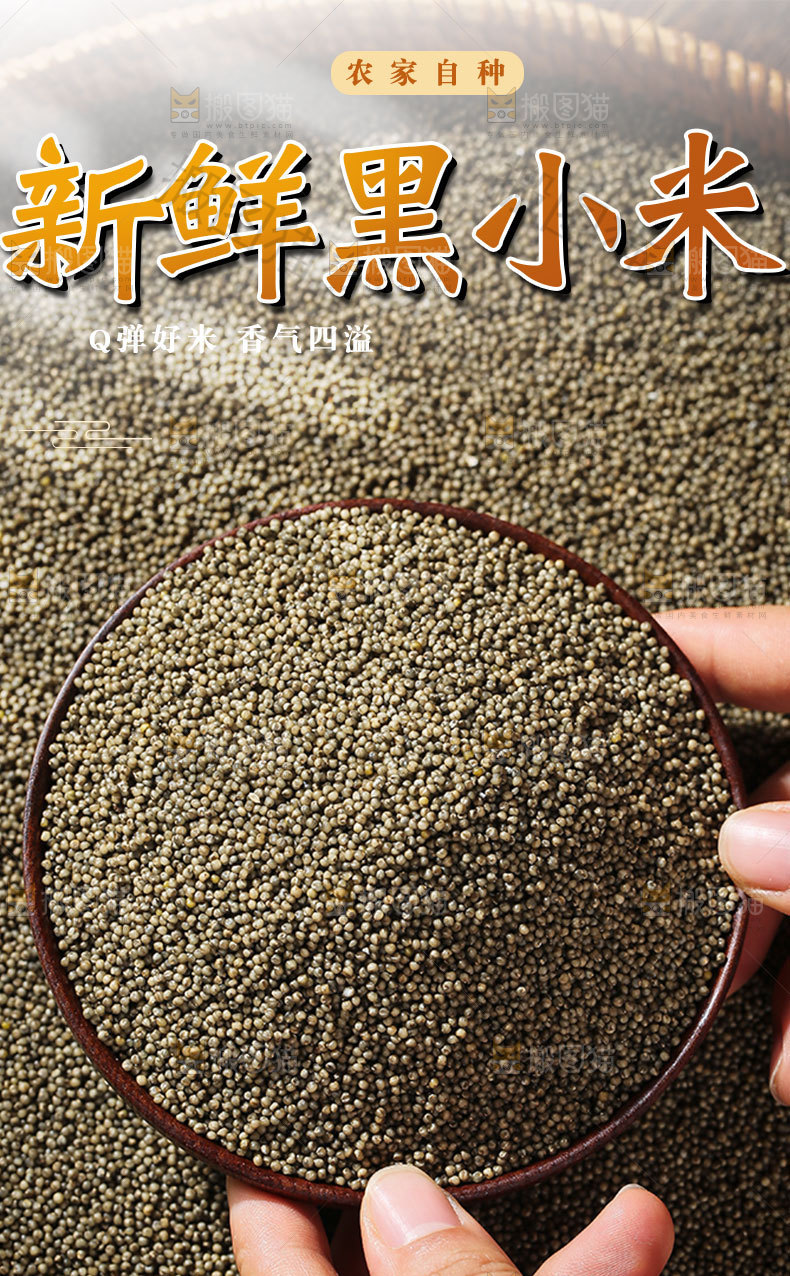 新鲜黑小米详情页