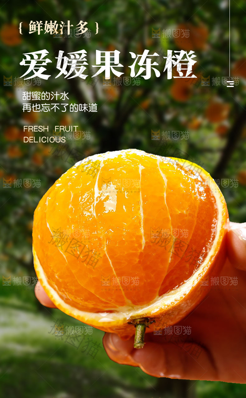 爱媛果冻橙详情页