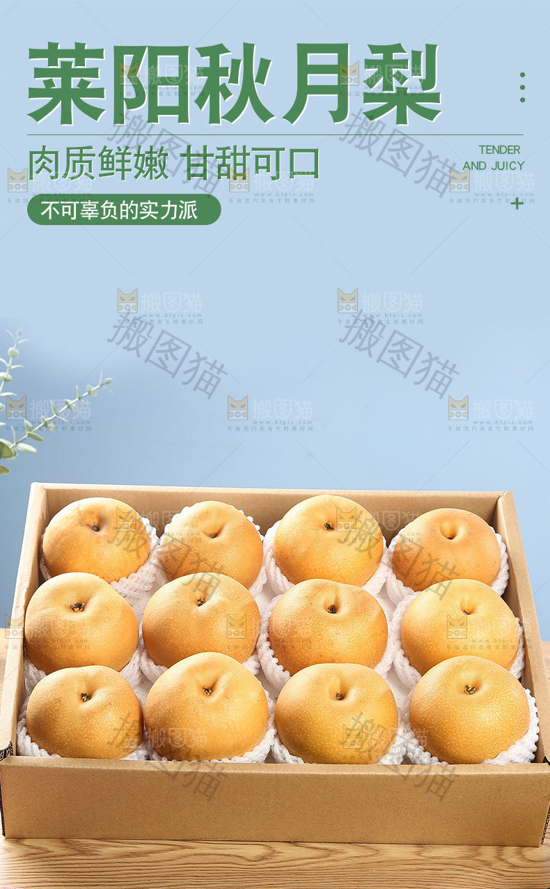 莱阳秋月梨详情页