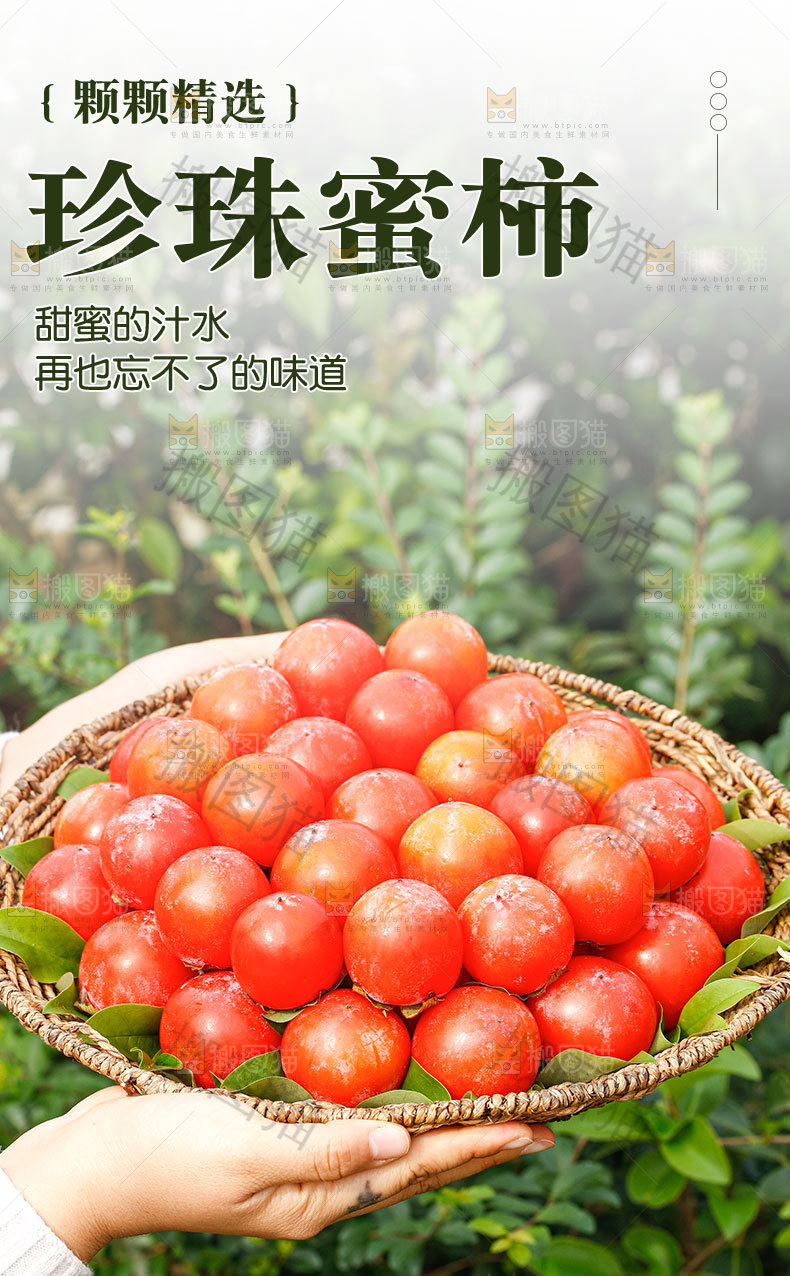 珍珠蜜柿详情页