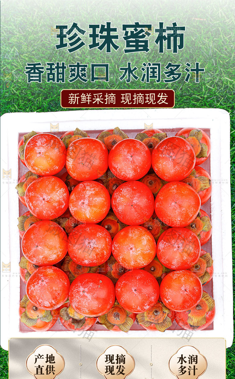 珍珠蜜柿详情页
