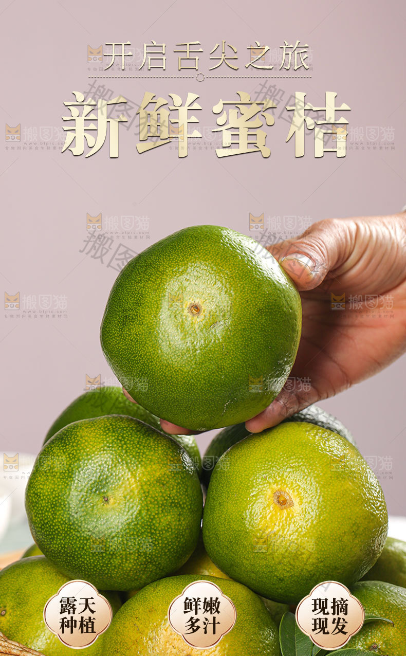 新鲜蜜桔详情页
