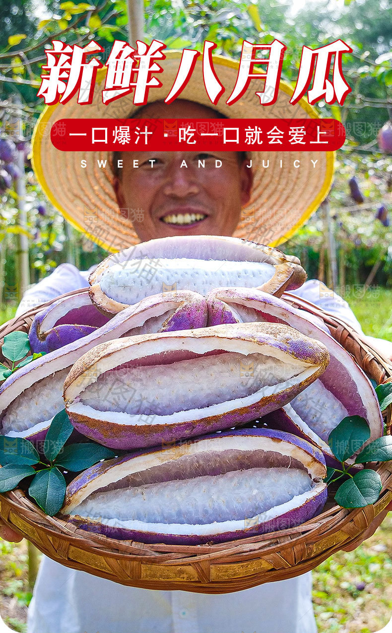新鲜八月瓜详情页