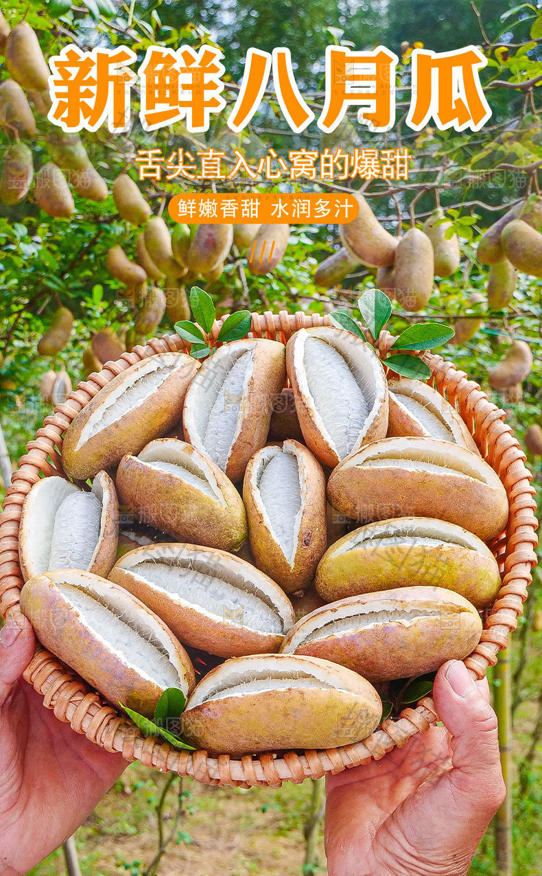 新鲜八月瓜详情页