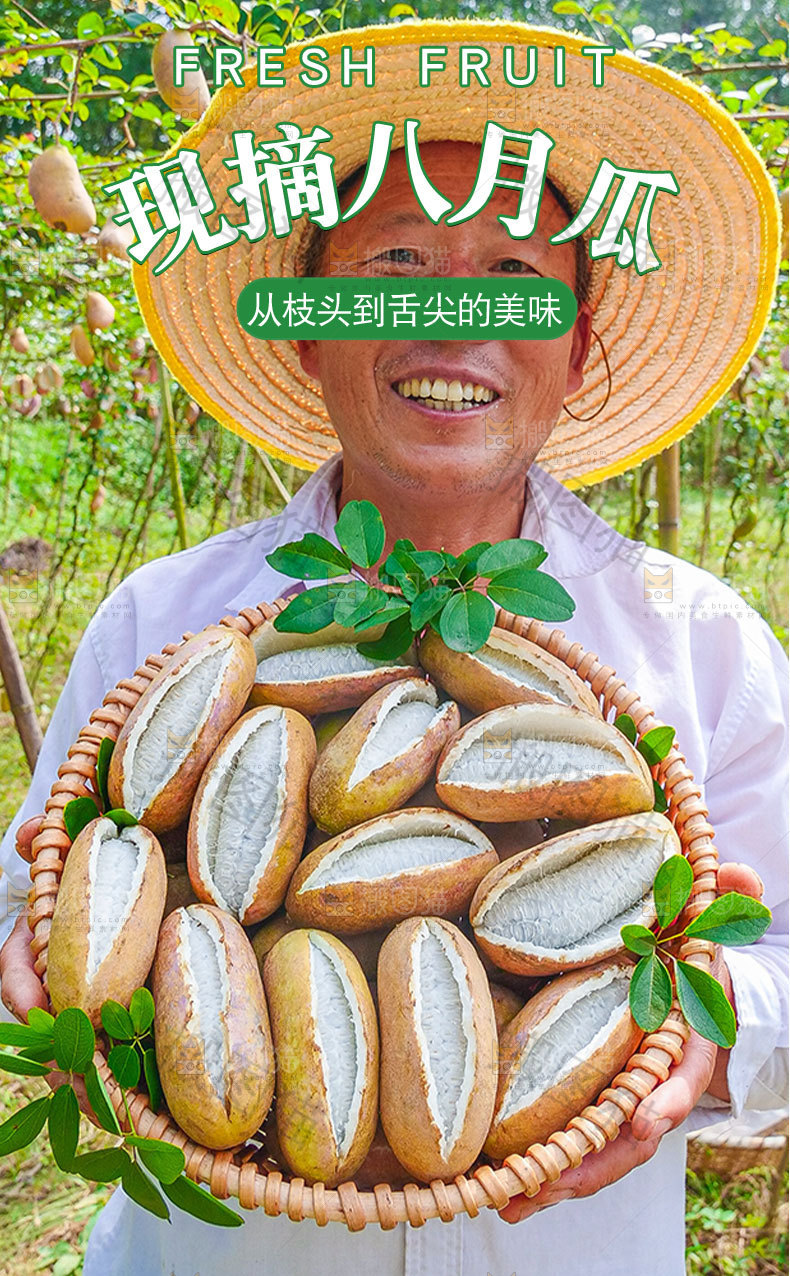现摘八月瓜详情页