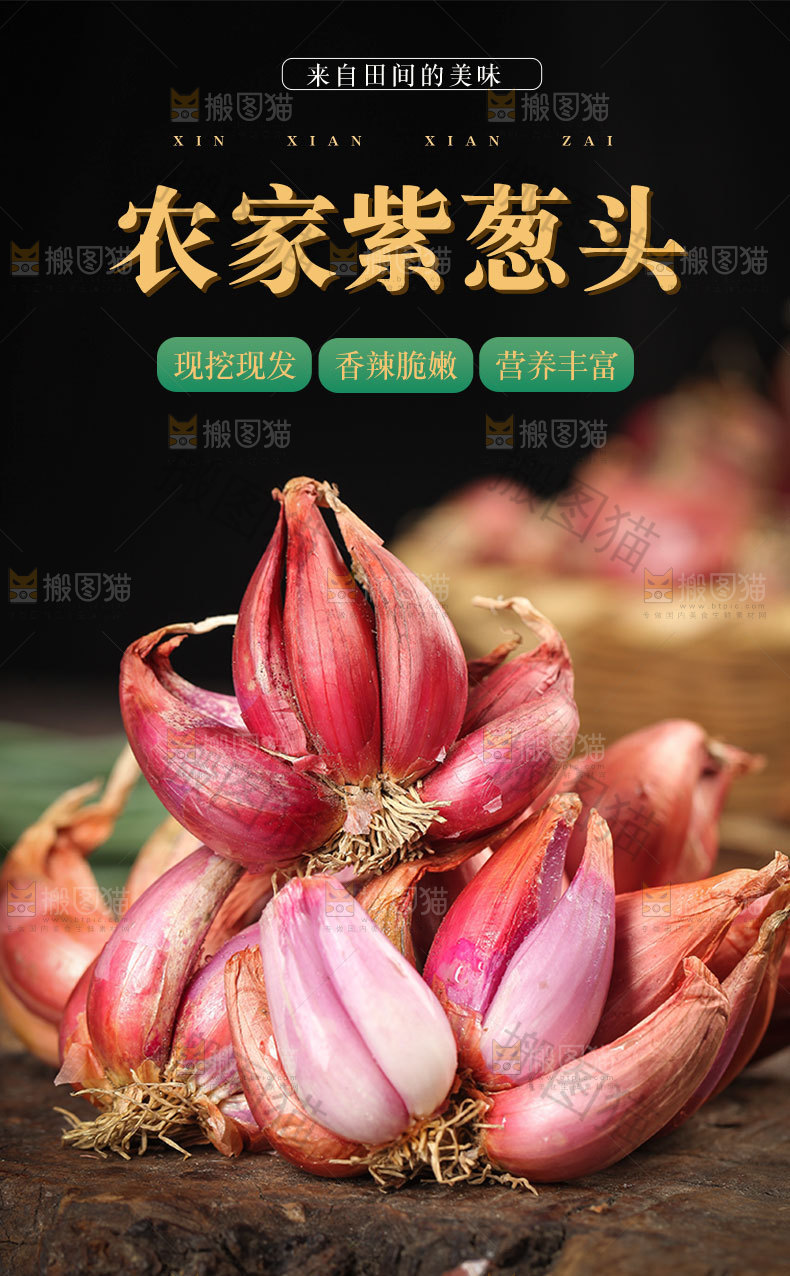 农家紫葱头详情页