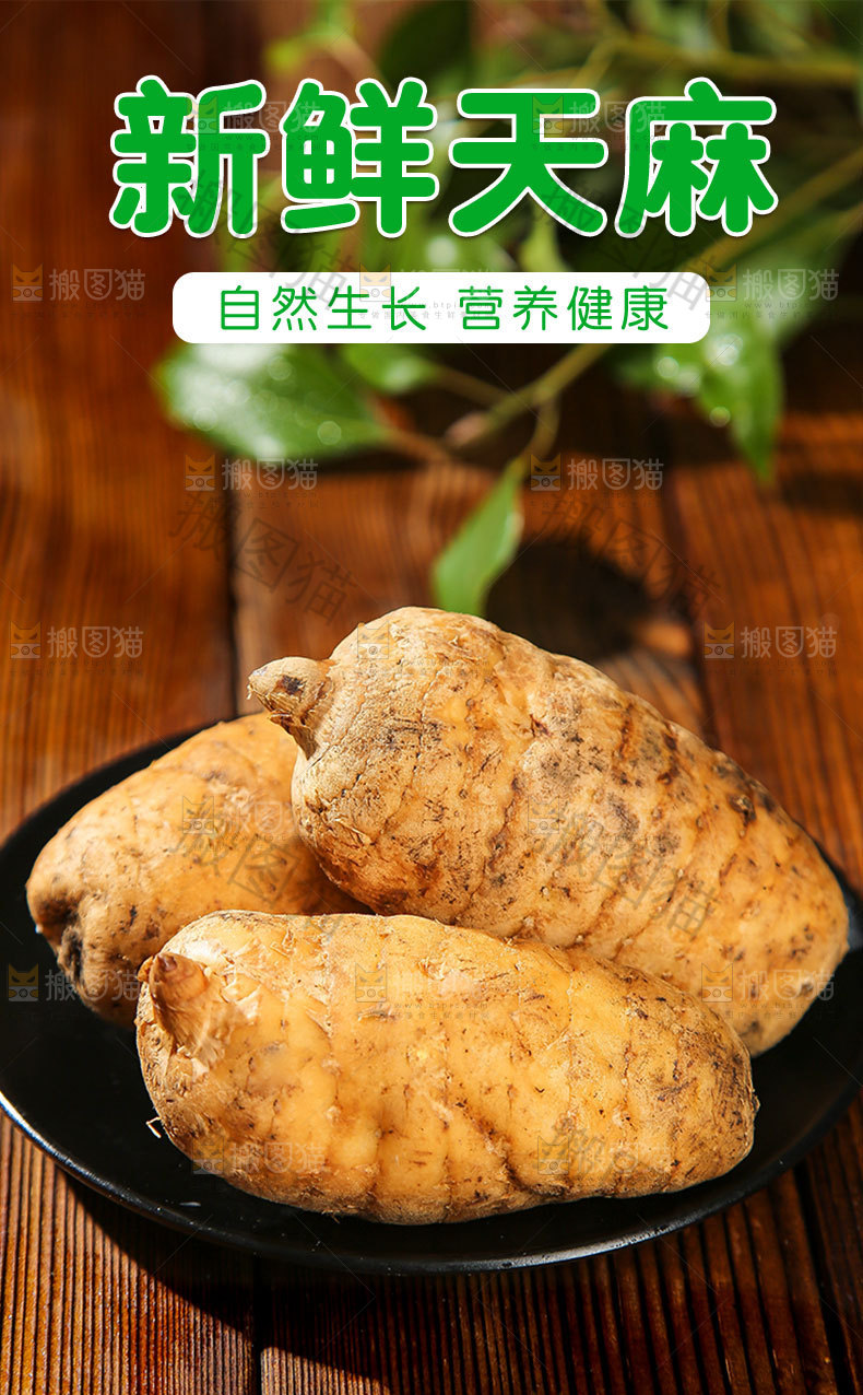 新鲜天麻详情页