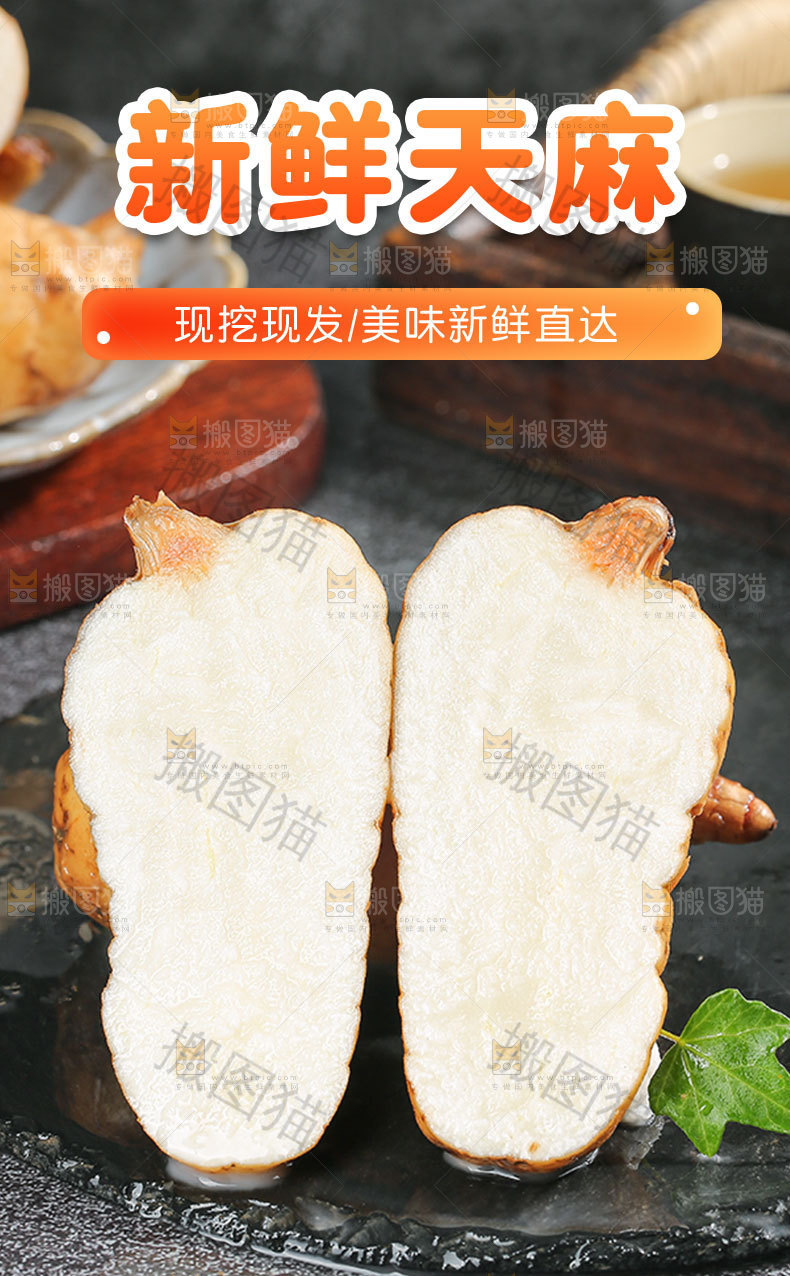 新鲜天麻详情页
