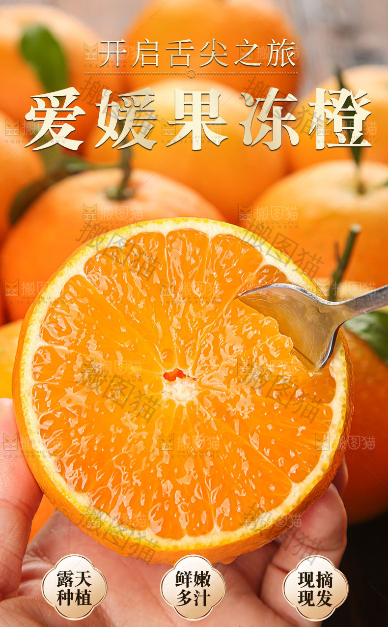 爱媛果冻橙详情页