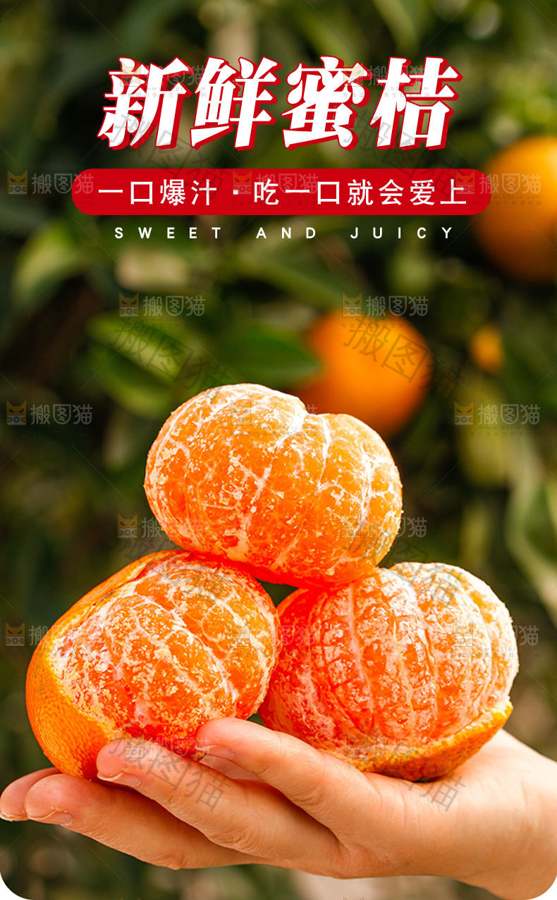 新鲜蜜桔详情页