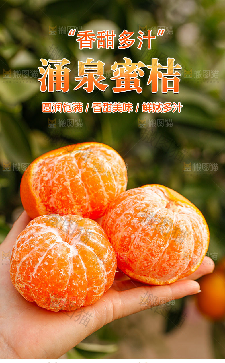 涌泉蜜桔详情页