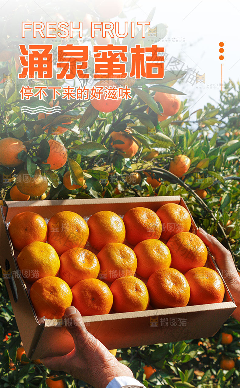 涌泉蜜桔详情页
