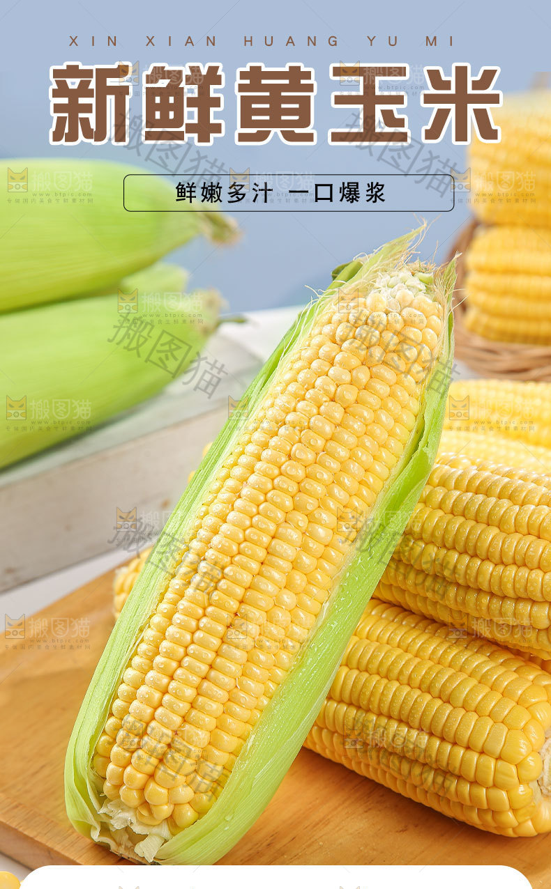 新鲜黄玉米详情页