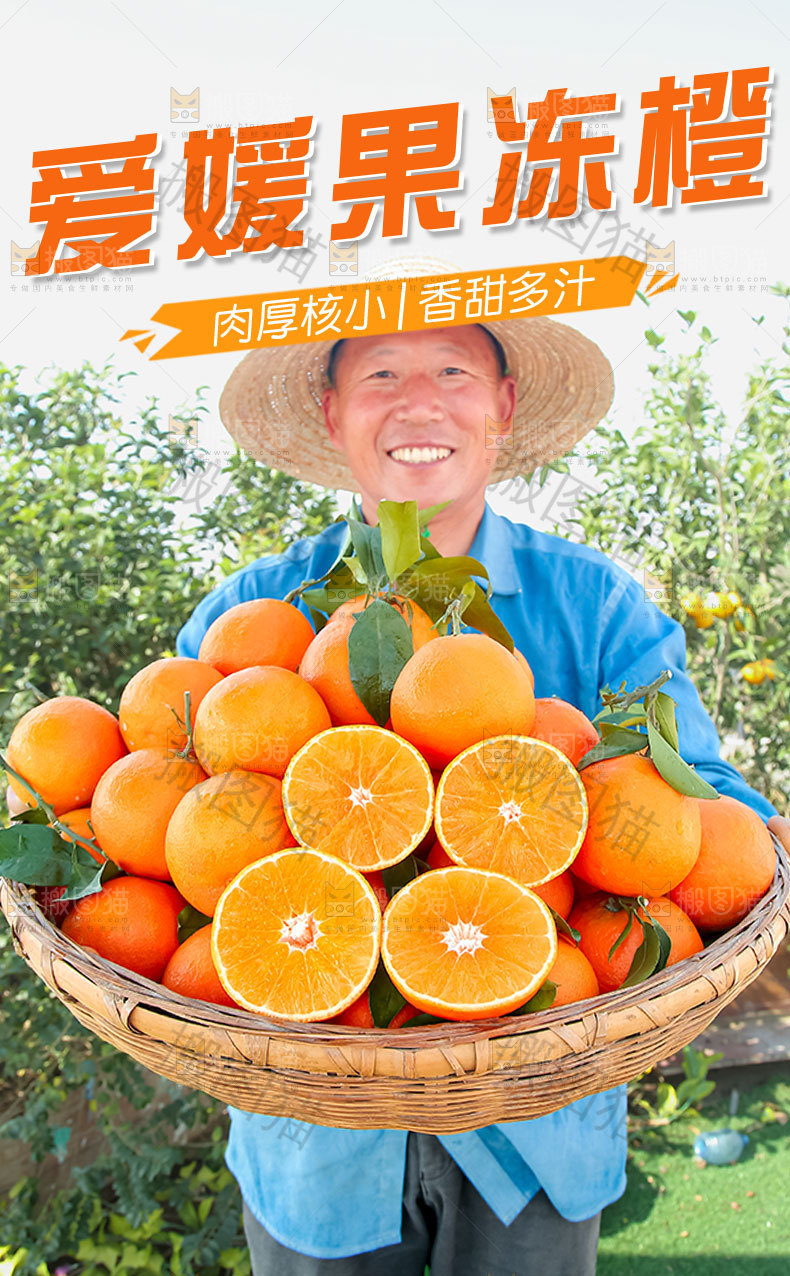 爱媛果冻橙详情页