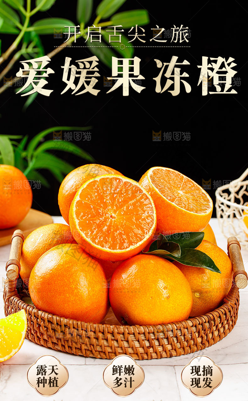 爱媛果冻橙详情页