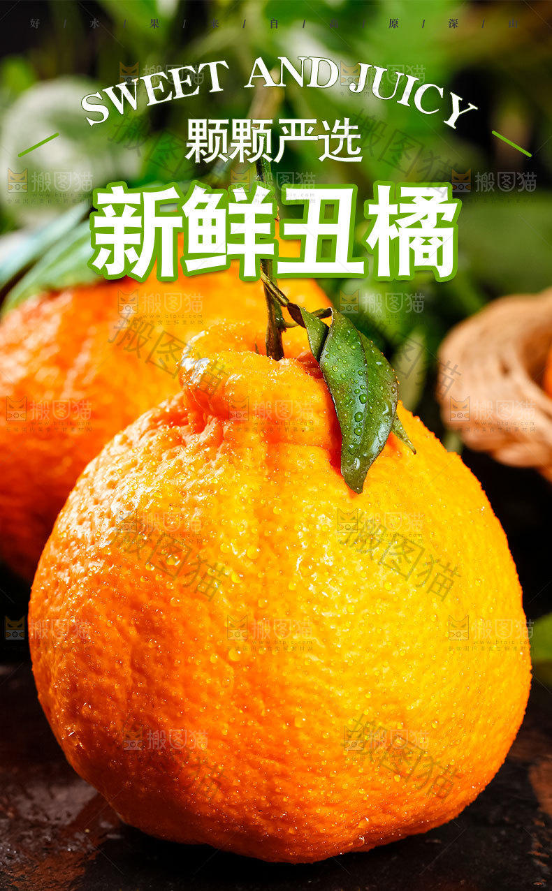 新鲜丑橘详情页