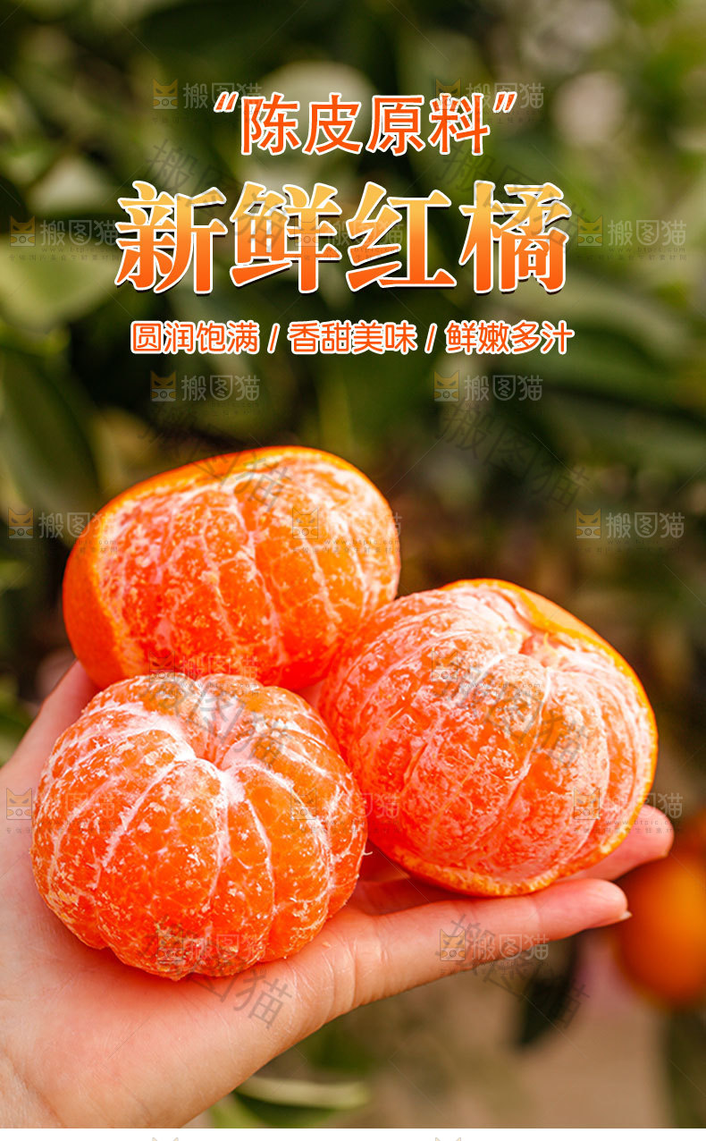 新鲜红橘详情页
