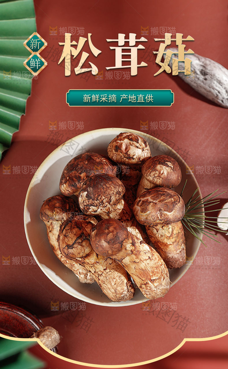 野生松茸详情页