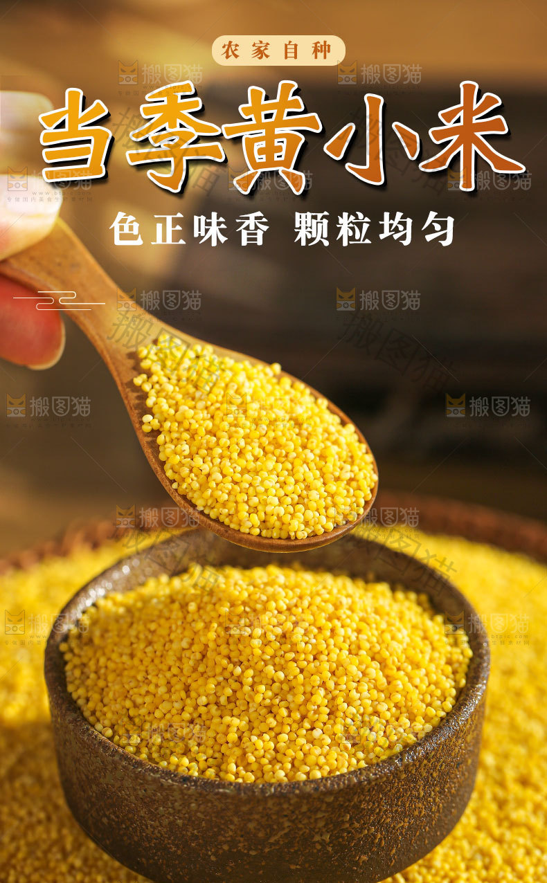 当季黄小米详情页
