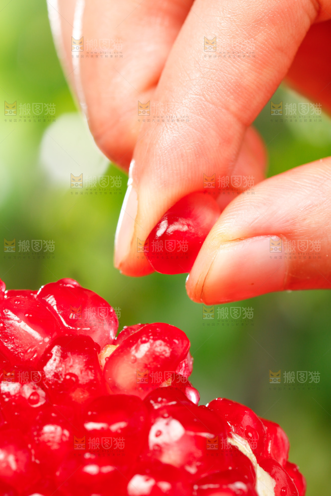 手上拿着石榴籽