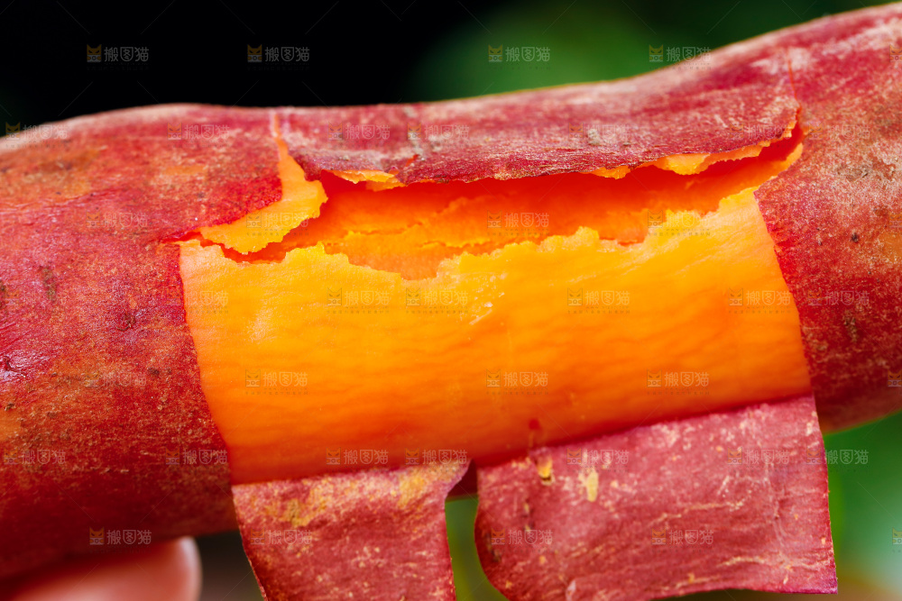 一个撕开皮的红心蜜薯