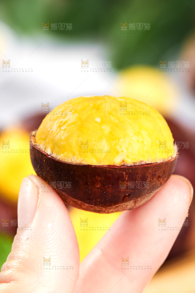 手上拿着迁西板栗