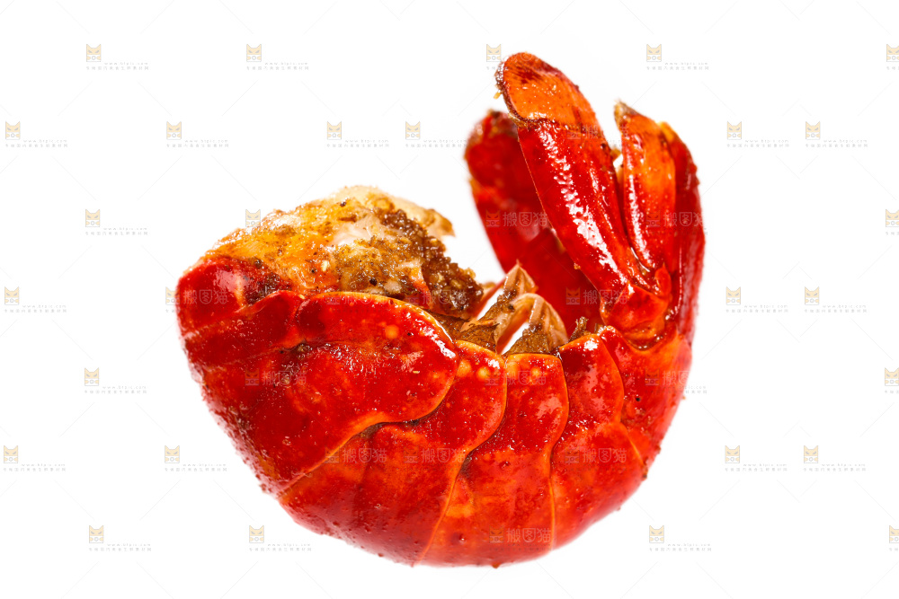 白底上放着熟食的虾尾