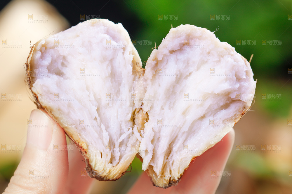 手上拿着小芋头