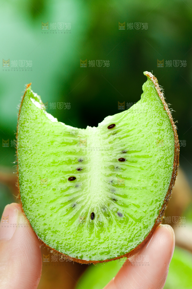 手上拿着绿心猕猴桃果肉