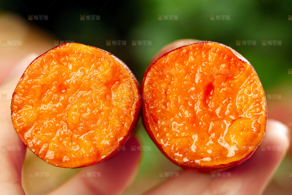 手上拿着红心蜜薯