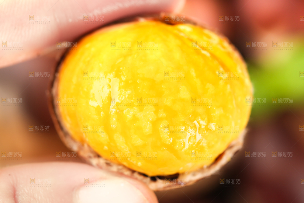 格子底上放着一碗熟的山栗子