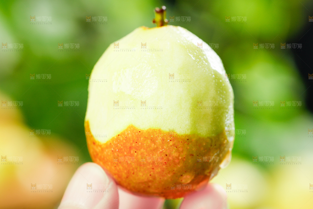 手上拿着脆枣