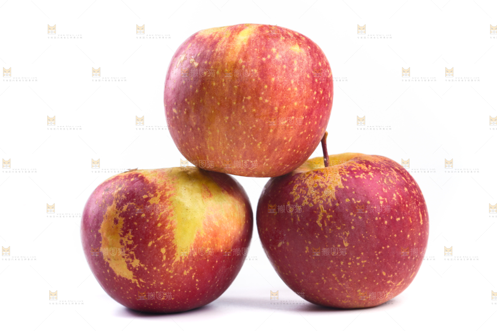 白底上的盐源丑苹果