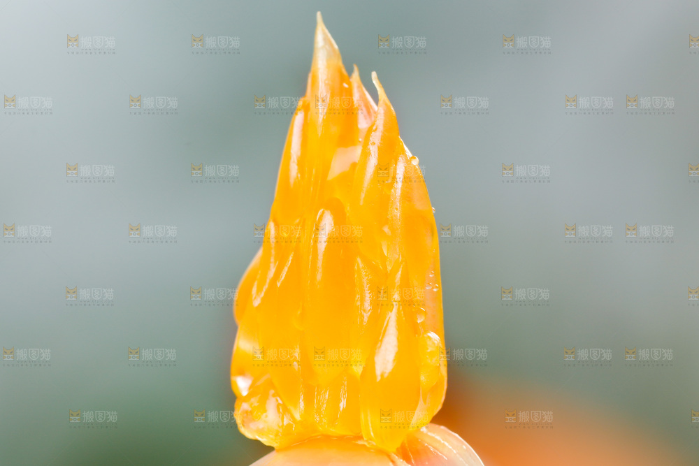 手上拿着橙子果粒