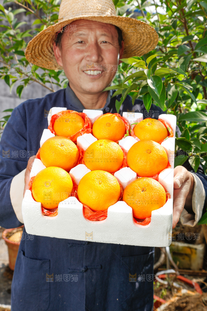 农民手上端着一箱爱媛果冻橙