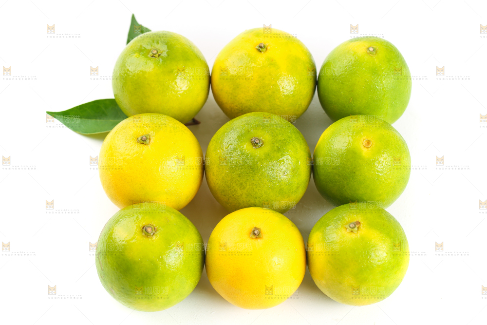 白底上一堆秭归夏橙
