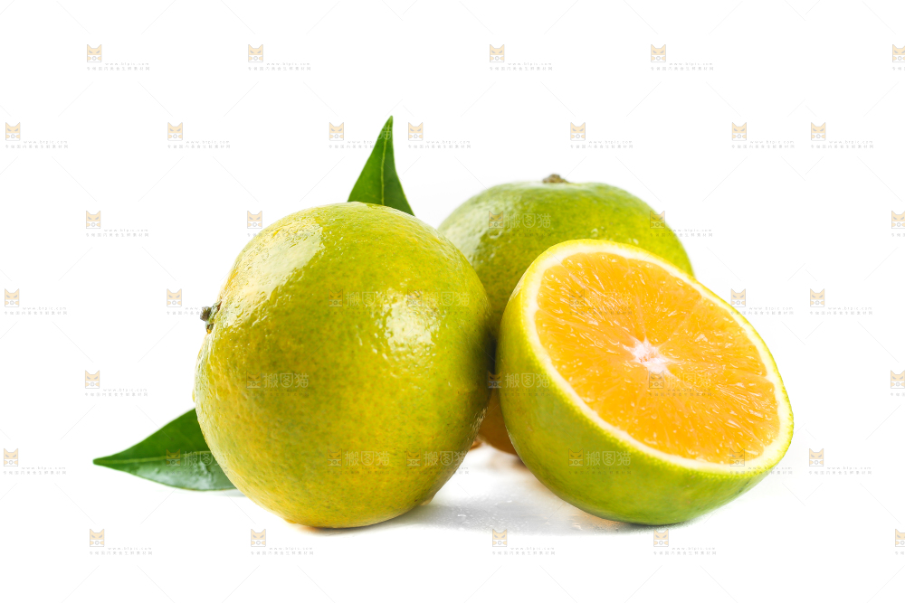 白底上的湖南夏橙和切面的橙子