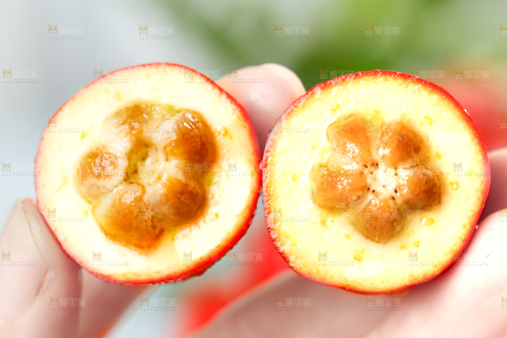 手上拿着山里红