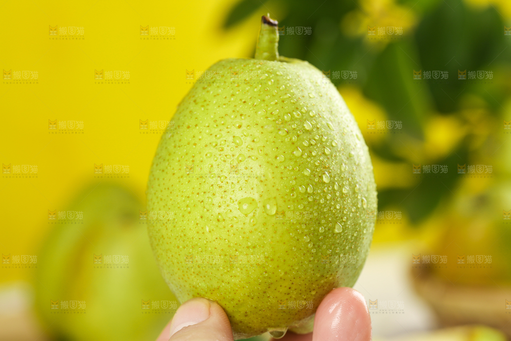 手上拿着香梨
