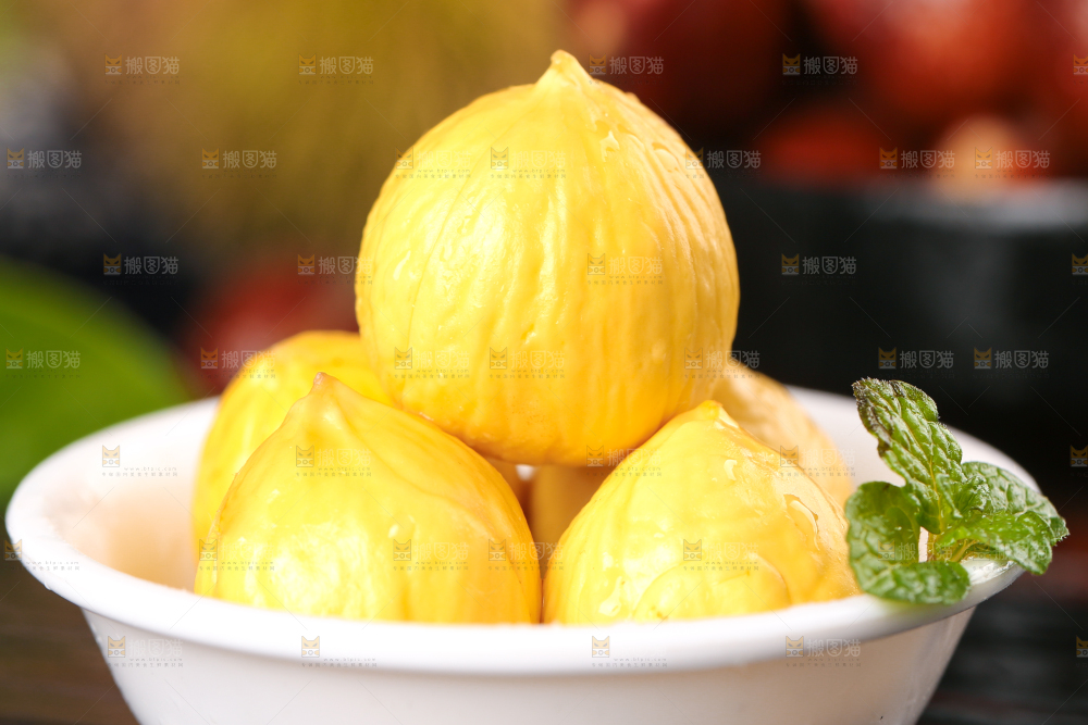 锥栗