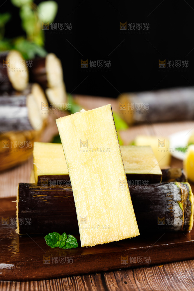 深木底上的广西甘蔗