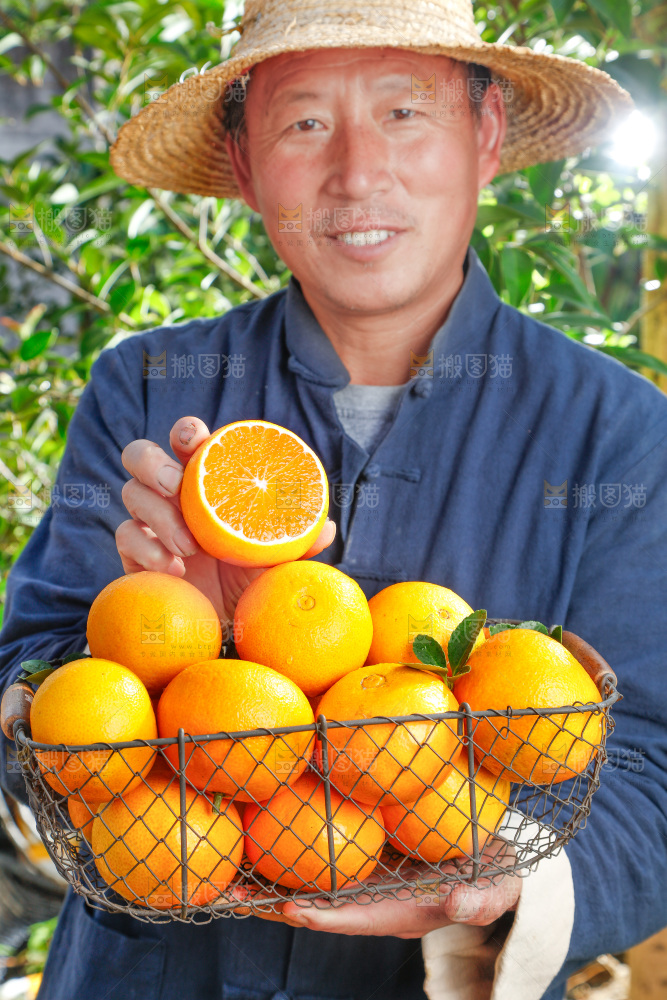 农民手上端着一篮果冻橙