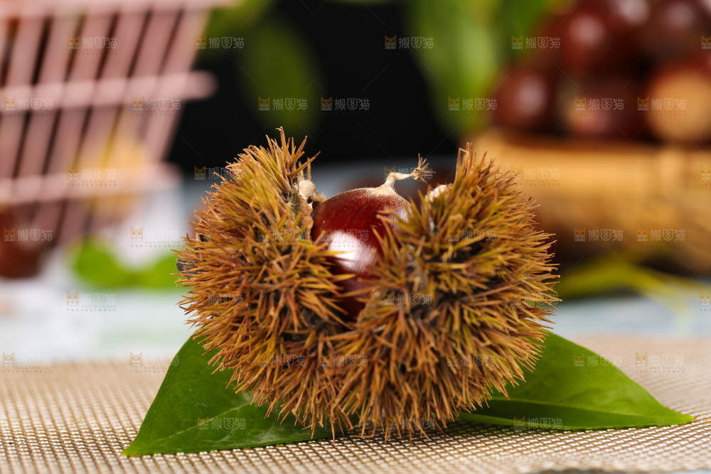 格子底上放着板栗