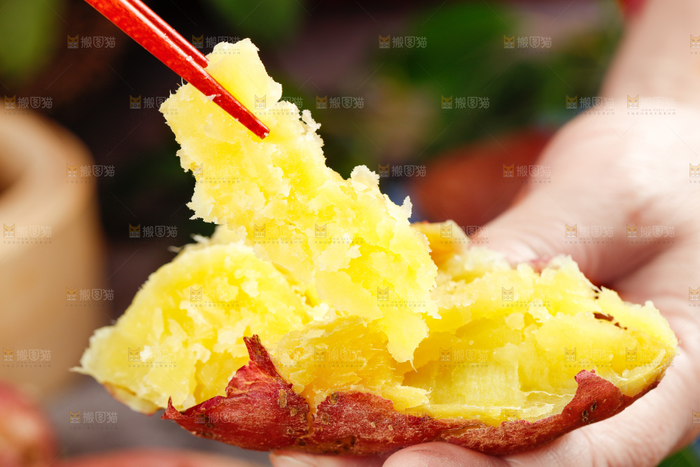 筷子上夹着山东板栗蜜薯