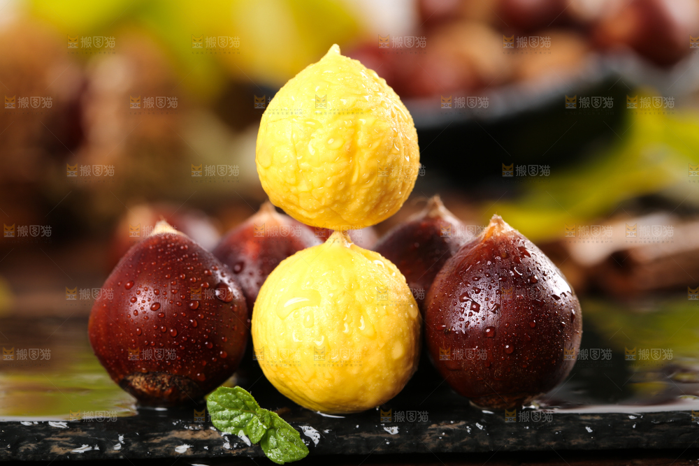 黑底上的栗子和锥栗仁