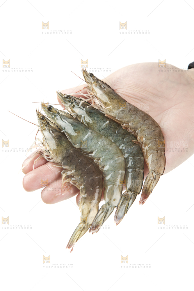 手上拿着大虾