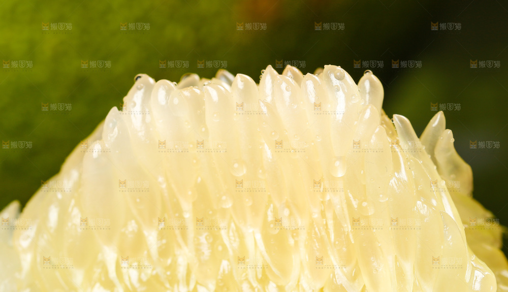 黑底上的青柚果肉