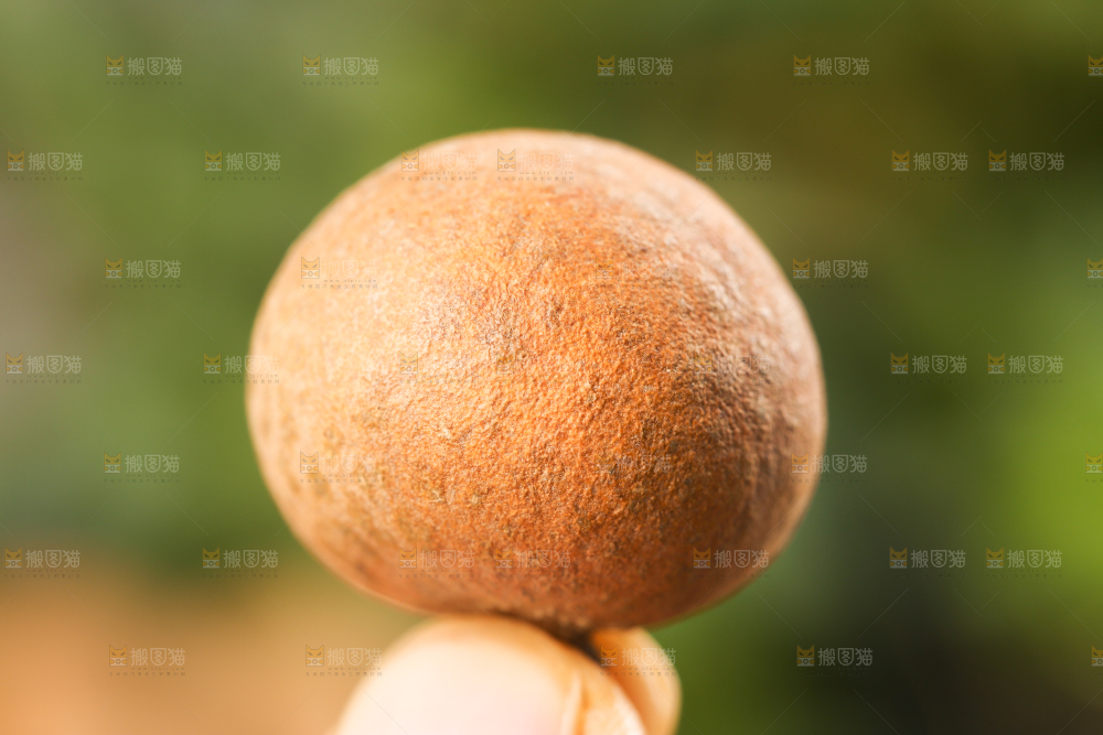 手上拿着干桂圆